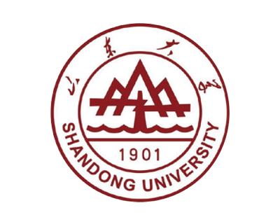 山东大学 (Shandong University) - 985工程/双一流重点高校，多校区跨地域管理典范