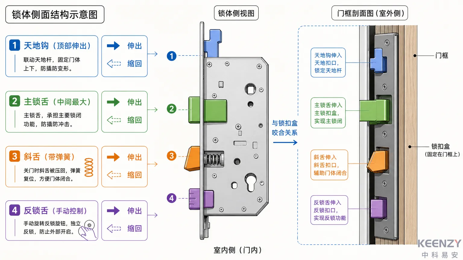 联网门锁锁体内部四种锁舌的位置与功能示意