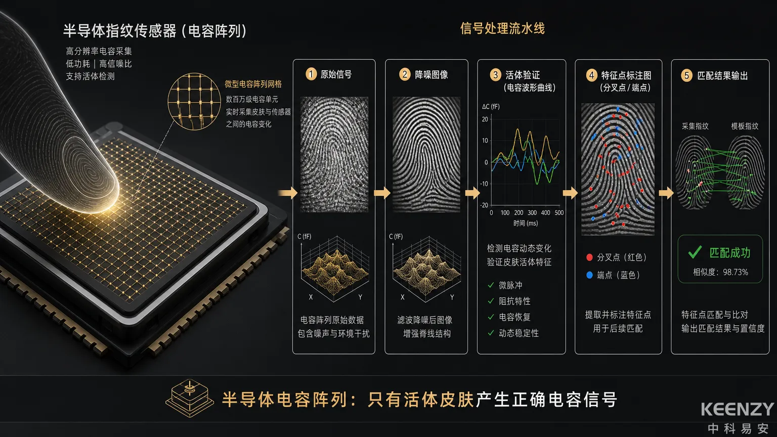 半导体活体指纹识别五阶段算法流水线示意图